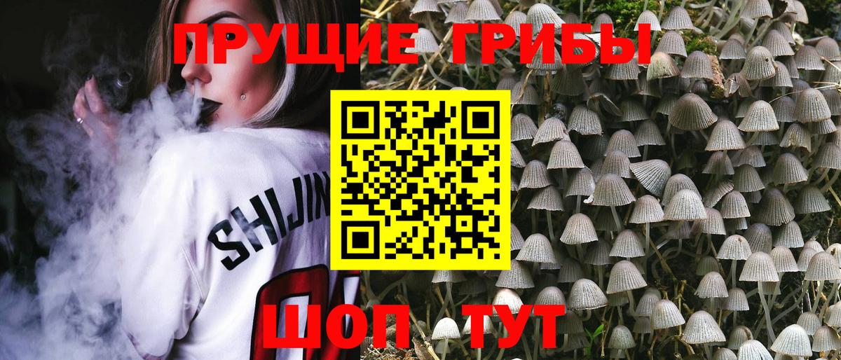 Псилоцибиновые грибы Magic Shrooms  Вход с VPN  Калининград 